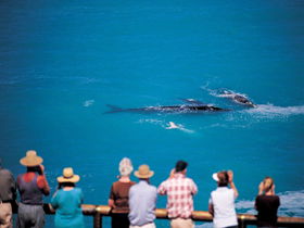 Nullarbor SA Restaurant Gold Coast