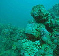 Adelaide's Underwater Heritage Trail - Restaurant Gold Coast