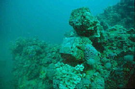 Adelaide's Underwater Heritage Trail - Restaurant Gold Coast 0
