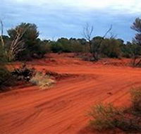 Tallaringa Conservation Park - Restaurant Gold Coast