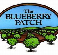 The Blueberry Patch - Restaurant Gold Coast