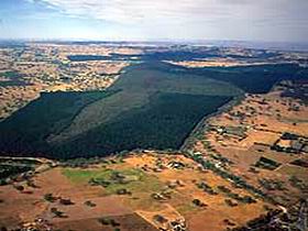 Mount Crawford Forest Reserve - Restaurant Gold Coast 0