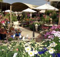 Serenity Nursery - Restaurant Gold Coast