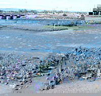 Jervois Basin Ships' Graveyard - Restaurant Gold Coast