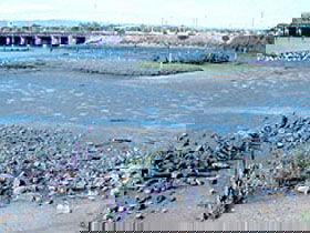 Jervois Basin Ships' Graveyard - Restaurant Gold Coast 0