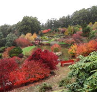 Emu Valley Rhododendron Garden - Restaurant Gold Coast