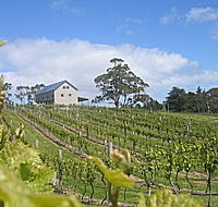 Bruny Island Premium Wines Bar and Grill - Restaurant Gold Coast