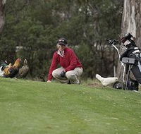 Tasmania Golf Club - The - Restaurant Gold Coast