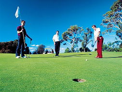 Book Fingal TAS Attractions Restaurant Gold Coast Restaurant Gold Coast