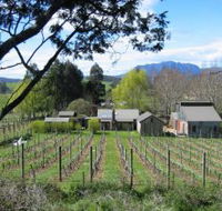 Wilmot Hills Vineyard - Restaurant Gold Coast