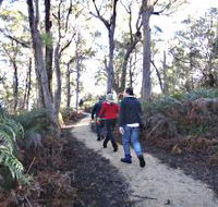 Bridport Walking Track - Restaurant Gold Coast