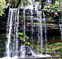 Mt Field National Park - Restaurant Gold Coast