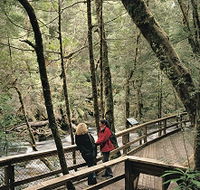 Franklin River Nature Trail - Restaurant Gold Coast