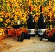 Craigow Vineyard - Restaurant Gold Coast