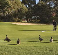Royal Hobart Golf Club - Restaurant Gold Coast