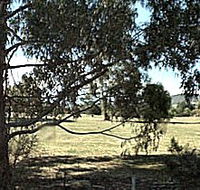 Cygnet Public Golf Course - Restaurant Gold Coast