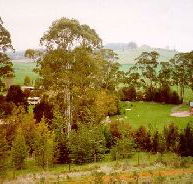 The Tasmanian Arboretum - Restaurant Gold Coast
