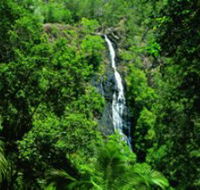 Kondalilla National Park - Restaurant Gold Coast