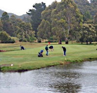 Penguin Golf Course - Restaurant Gold Coast