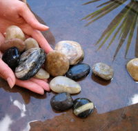 Earth Day Spa - Restaurant Gold Coast