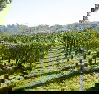 Surveyor's Hill Vineyards - Restaurant Gold Coast