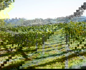 Surveyor's Hill Vineyards - Restaurant Gold Coast 0