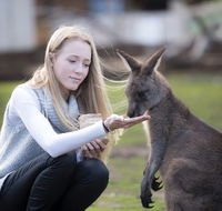 Bonorong Wildlife Sanctuary - Restaurant Gold Coast