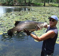 Barra Feeding - Restaurant Gold Coast