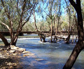 Low Level Nature Reserve - Restaurant Gold Coast 0