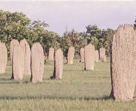 Magnetic Termite Mounds - Restaurant Gold Coast 0