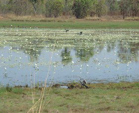 Leaning Tree Lagoon Nature Park - Restaurant Gold Coast 0