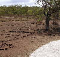 Wurrwurrwuy Garanhan Macassan Beach Interpretive Walk - Restaurant Gold Coast