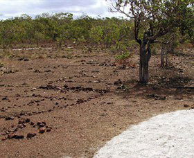 Wurrwurrwuy Garanhan Macassan Beach Interpretive Walk - Restaurant Gold Coast 0