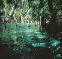 Mataranka Thermal Pool - Restaurant Gold Coast