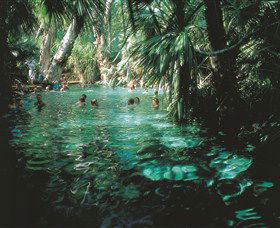 Mataranka Thermal Pool - Restaurant Gold Coast 0