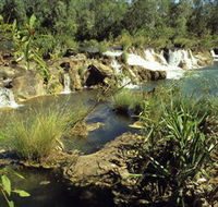 Flora River Nature Park - Restaurant Gold Coast