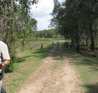 Coombabah Lakes Conservation Area - Restaurant Gold Coast
