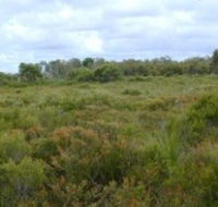 Pine Ridge Conservation Park - Restaurant Gold Coast
