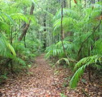 Delicia Road Conservation Park - Restaurant Gold Coast