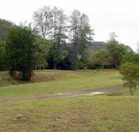 Brooyar State Forest - Restaurant Gold Coast