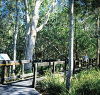 Kinaba Track - Restaurant Gold Coast