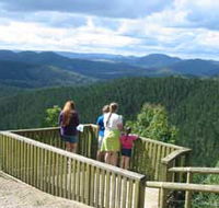 Kenilworth Forest Reserve - Restaurant Gold Coast