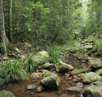 Amamoor State Forest - Restaurant Gold Coast