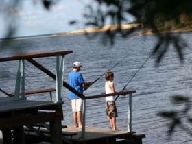 Currimundi Lake (Kathleen McArthur) Conservation Park - Restaurant Gold Coast 0