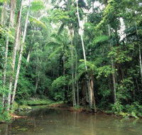 Mount Allan Trail - Restaurant Gold Coast