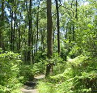 Mapleton Falls National Park - Restaurant Gold Coast