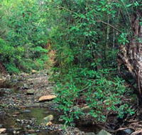 Mudlo National Park - Restaurant Gold Coast