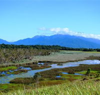 Eubenangee Swamp National Park - Restaurant Gold Coast