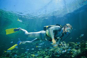 Tijou Reef - Restaurant Gold Coast 0