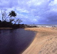 Russell River National Park - Restaurant Gold Coast